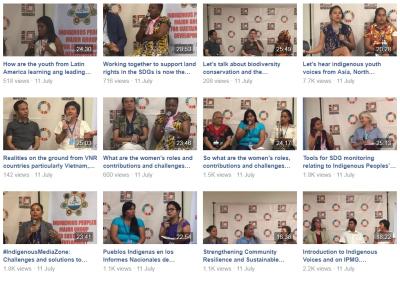 Collage of videos from the HLPF