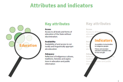 Attributes and indicators - approach