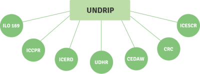 Illustration of UNDRIP related instruments