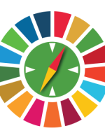 SDG illustration combined with Navigator